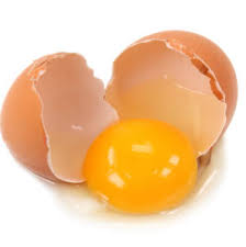 yumurta