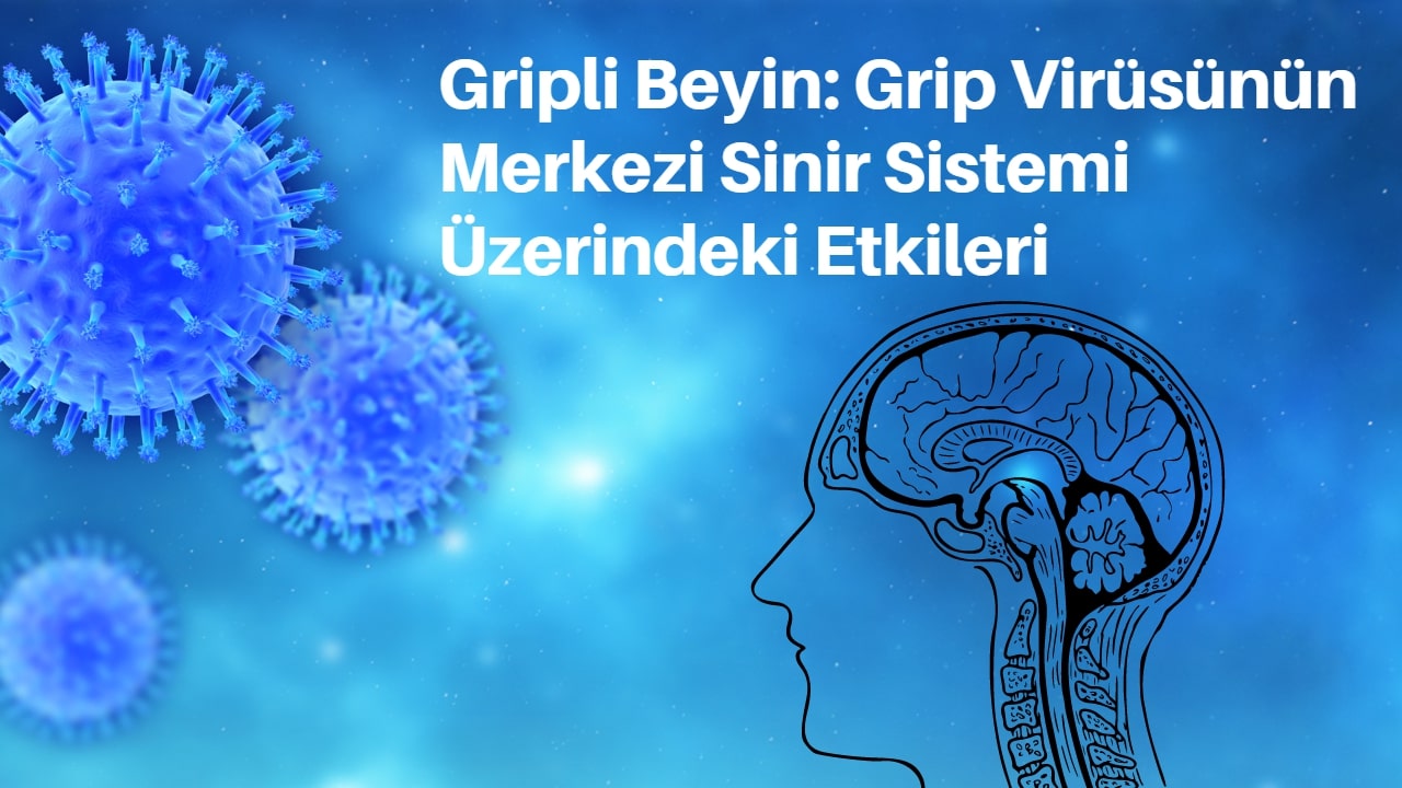 Gripli Beyin: Grip Virüsünün Merkezi Sinir Sistemi Üzerindeki Etkileri