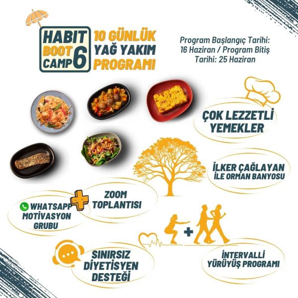 Bootcamp-6 Habit 10 Günlük Yağ Yakım Programı - Görsel 2