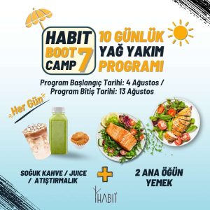 Habit Bootcamp7