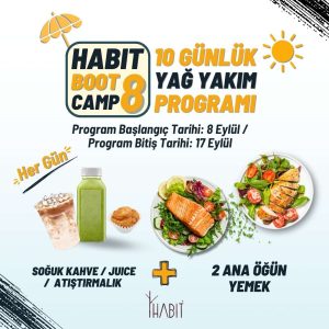 Bootcamp8