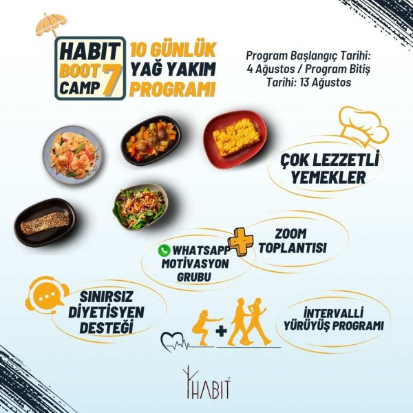 Bootcamp-7 Habit 10 Günlük Yağ Yakım Programı - Görsel 2